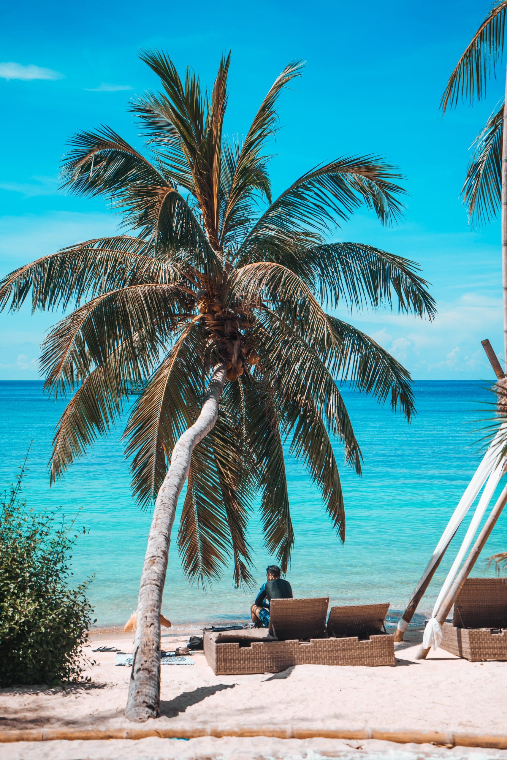 A shaded beachfront spot on Koh Tao, the setting for most island breakfasts