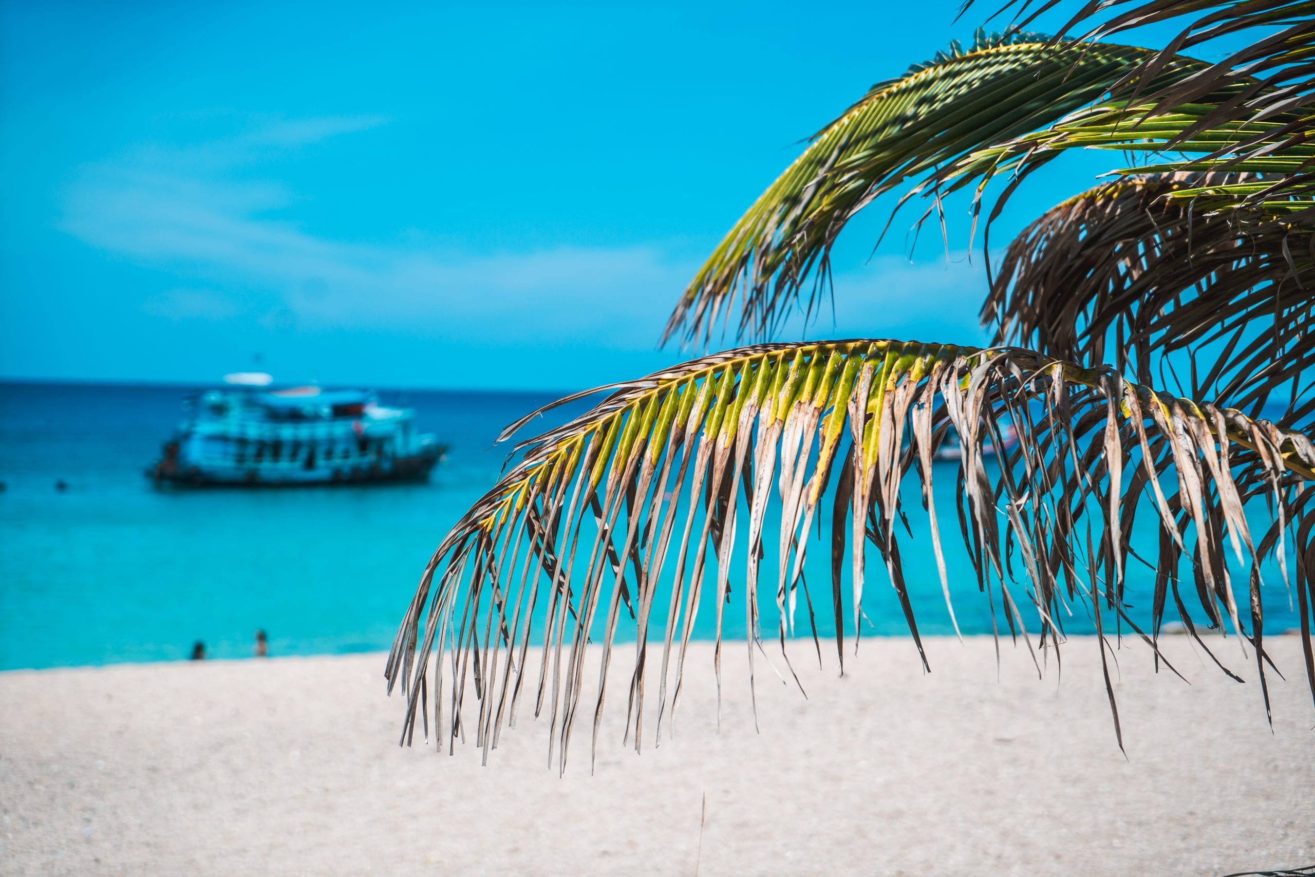 A tour boat anchored off Koh Tao between snorkelling stops
