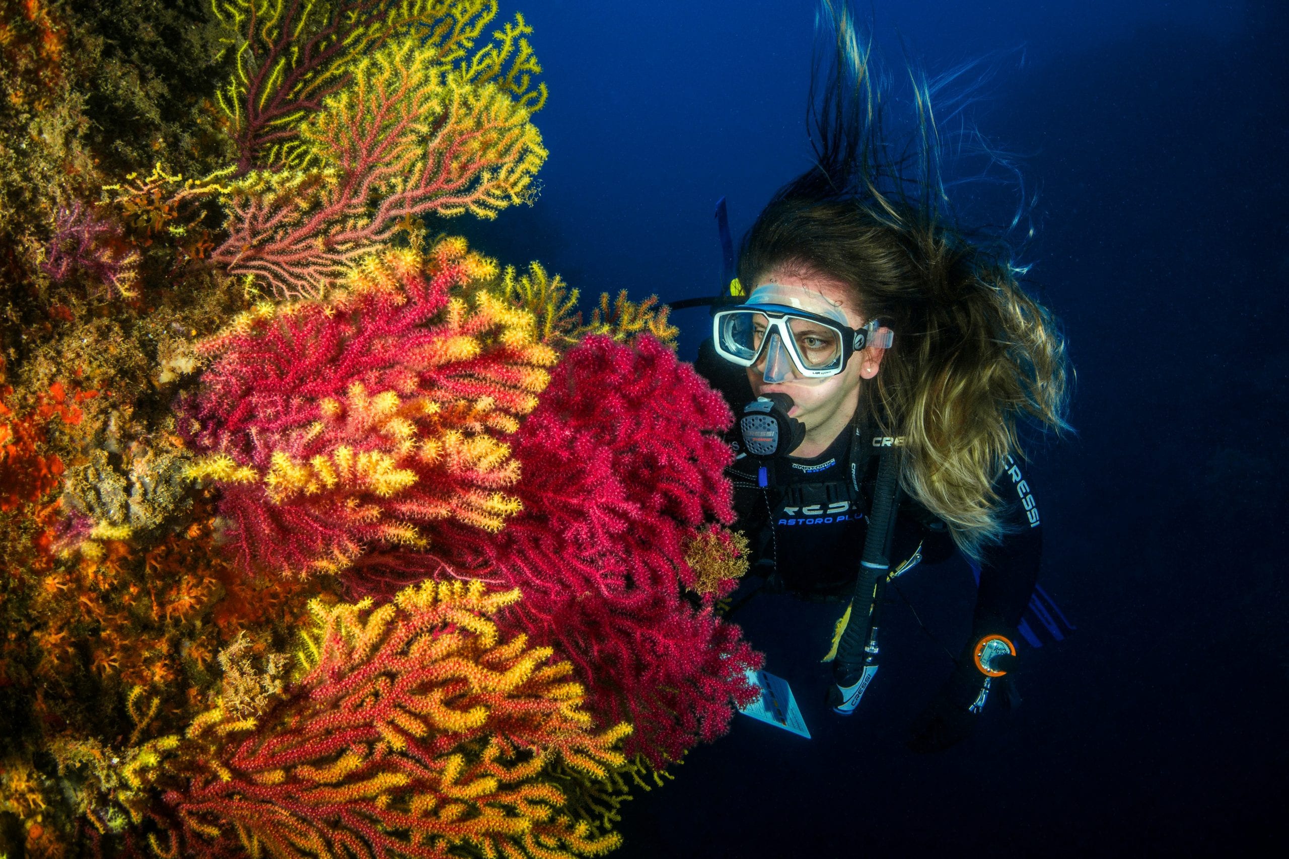 A diver beside soft coral on a Koh Tao reef