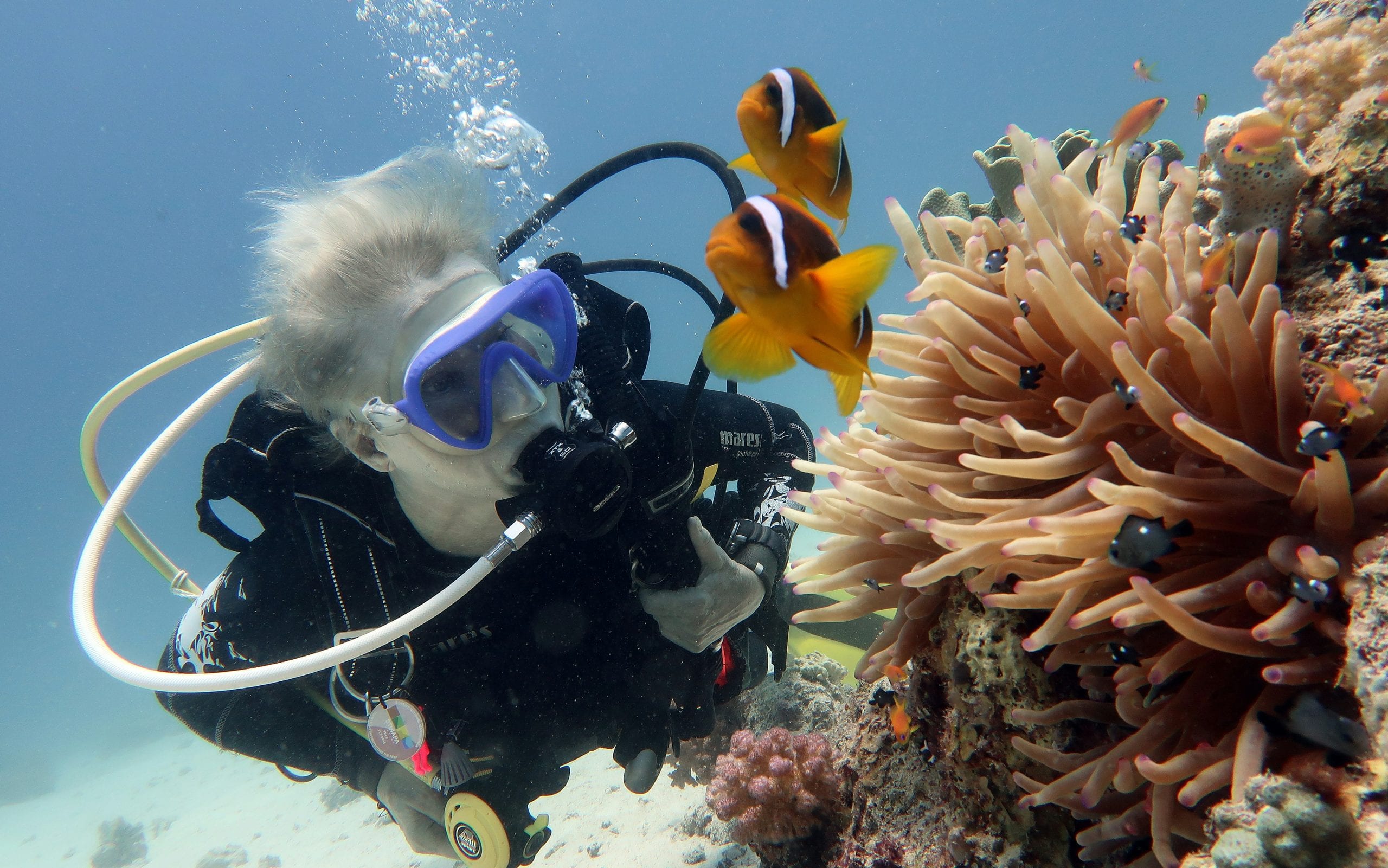 A diver alongside an anemone on a Koh Tao reef
